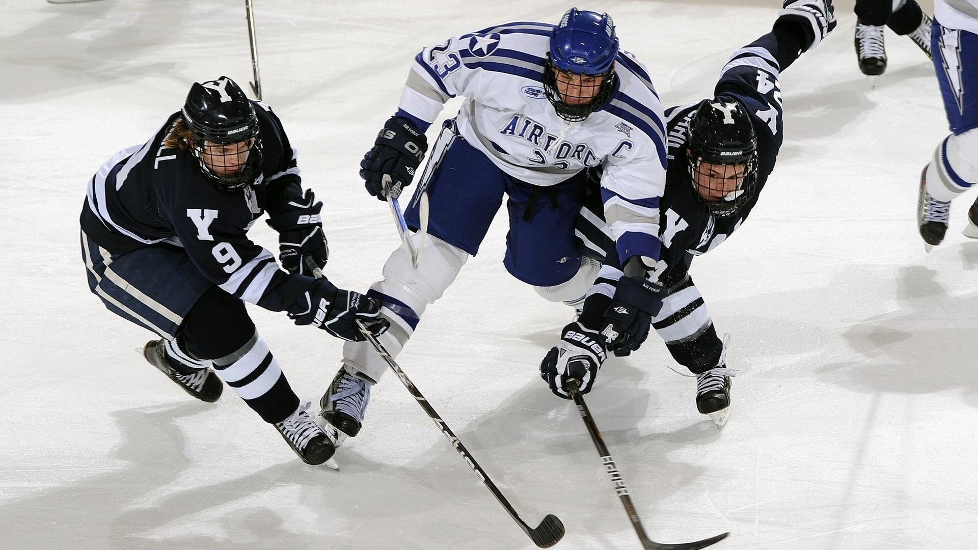 铁路中断引发罕见安排 布莱顿主场为客队球迷开放观赛